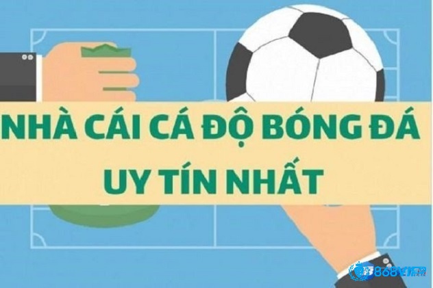 Tìm hiểu thông tin về 868h nhà cái cá cược thể thao