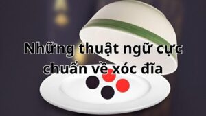 Thuật ngữ xóc đĩa: Từ ngữ phổ biến và liên quan đến trò chơi