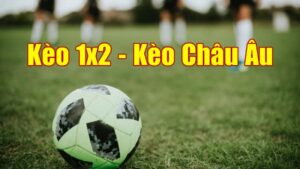 Kèo Châu Âu 1x2 là gì? Hướng dẫn bet thủ chơi kèo chuẩn